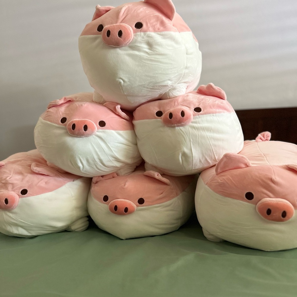 Stuffed animal piggies 🐷